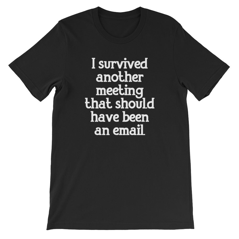 I Survived Another Meeting That Should Have Been An Email T-Shirt (Uni ...
